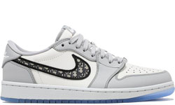 Nike Air Jordan 1 Retro Dior grey